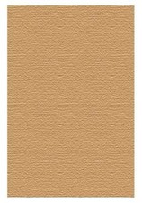 The biography of a baby. by