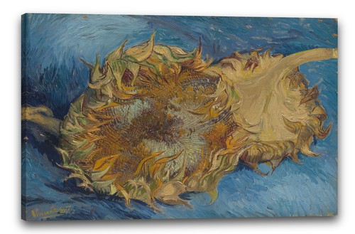 Toile cadres vincent - vincent, van