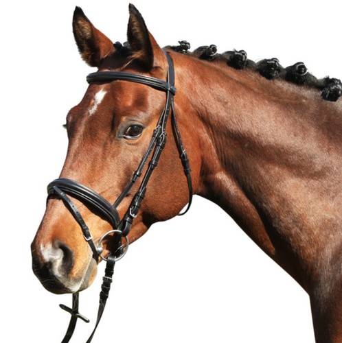 Bridle marseille euroriding - bridle,