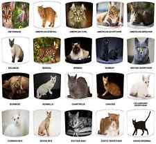 Cat Breeds Of The World