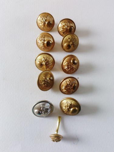 0724 bouton gendarmerie dore