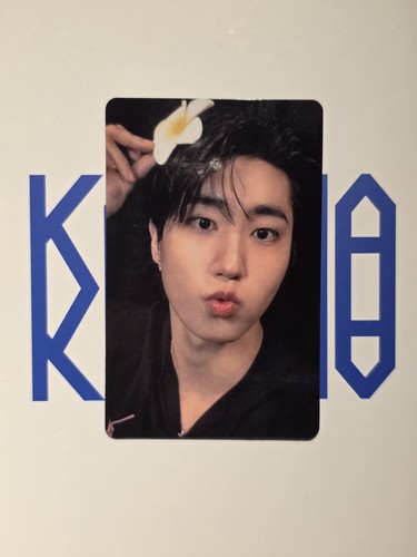 Han stray kids fanmade - stray,