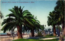 CPA AK GENOVA Fra le Palme di Circonvallazione a Mare ITALY (523649)