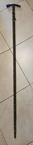 Canne ancienne géologue