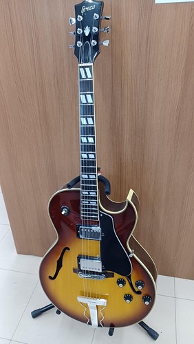 Guitare électrique acoustique