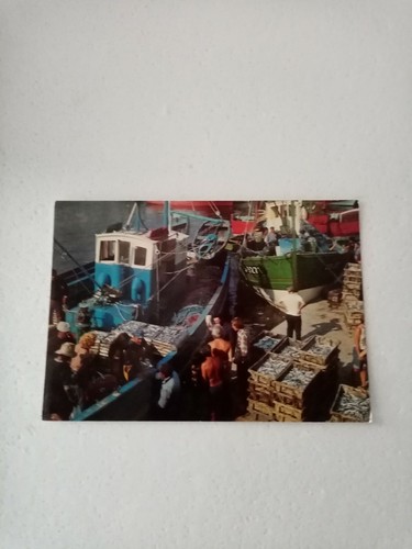 Carte postale vendée st - postale,