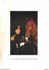 Animaux - Chevaux - Saumur -
