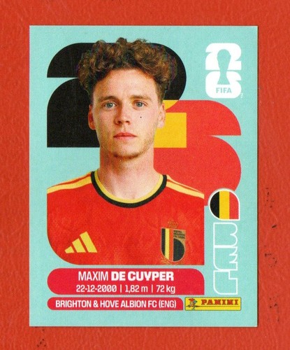 Cartes panini coupe monde - cartes,
