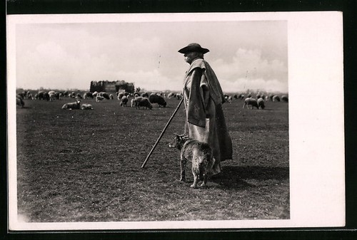 Carte postale hortobágy - carte,