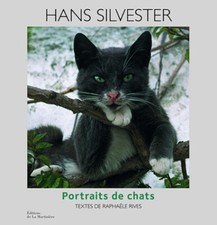 Portraits de chats - Hans
