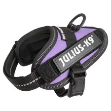 Julius-K9 IDC Harnais Power Violet Pour Chiens, Ergonomique & Respirant, UE