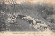 CPA 63 AUVERGNE / GARDEUSE DE