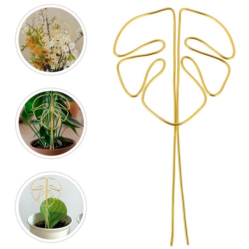 Trellis pour plante grimpante - trellis,
