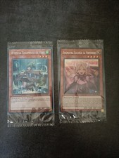 2 Cartes Yu-Gi-Oh SE