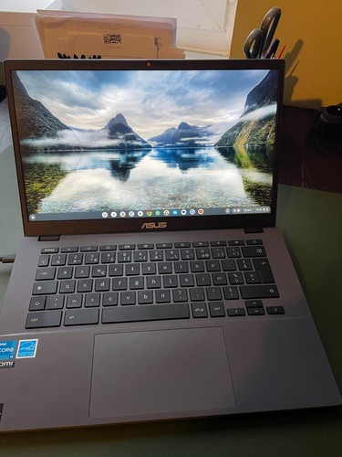 Asus chromebook plus modèle - plus,