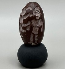 Rare ancien roi romain avec