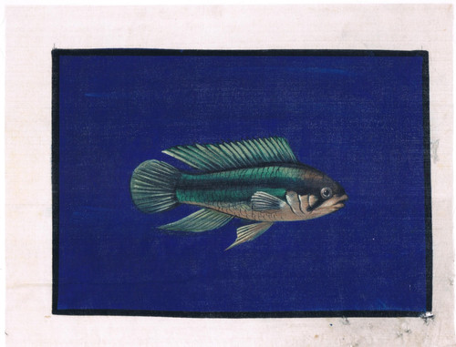 Peinture artisanale poisson - artisanale, de