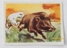 Image CHROMO Chocolat