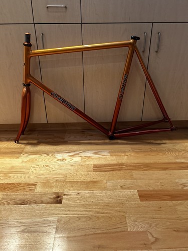 60cm motion custom fixed - 60cm,