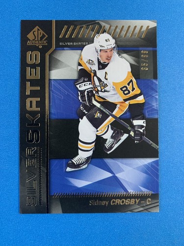 2016 authentic silver - 2016/17,