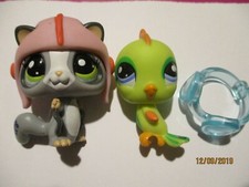 PETSHOP CHAUVE SOURIS N°1823