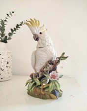 Ancien cacatoès perroquet - cacatoès, en