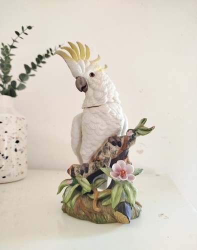 Ancien cacatoès perroquet - cacatoès, en