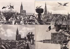 Lot de 4 cartes postales cards