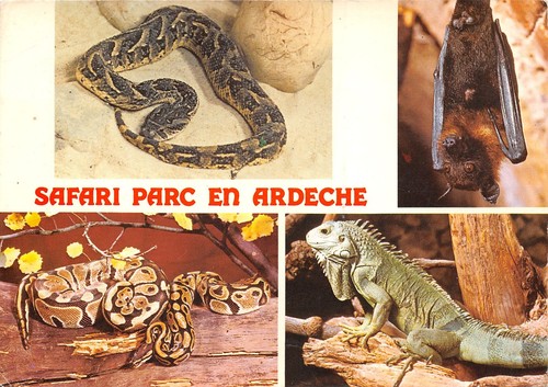 07-PEAUGRES-SAFARI