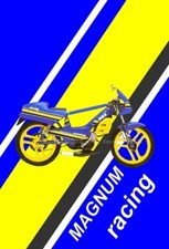 TABLEAU MOTOBECANE MBK 51