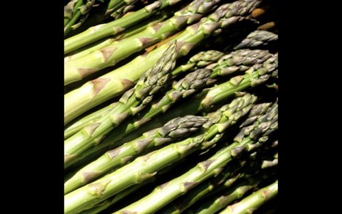 Asperge argenteuil 35 - asperge,