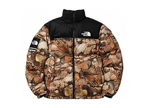 Supreme the north face leaves - the,