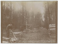 Bûcheron, forêt, Loiret ou