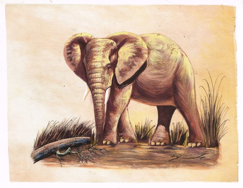 Main africain éléphant - main,