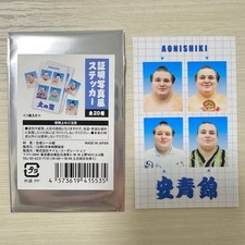 Autocollant photo éclairage Sumo lutte Yasushikinishiki
