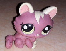 Petshop chat sphynx 1900