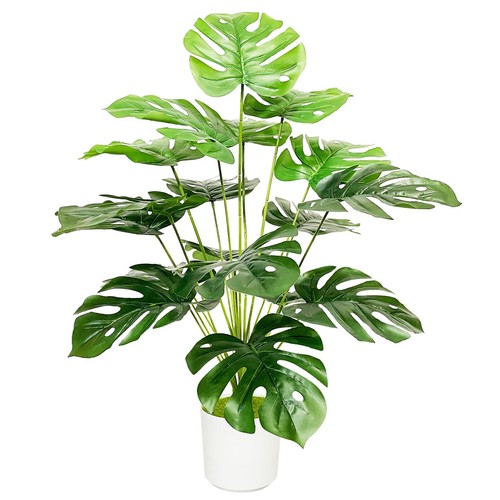 Fausses plantes artificielles - plantes,