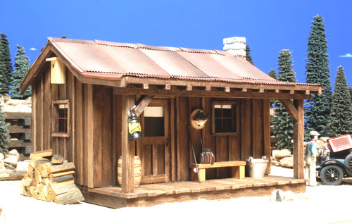 Scale train fishing - train, shack