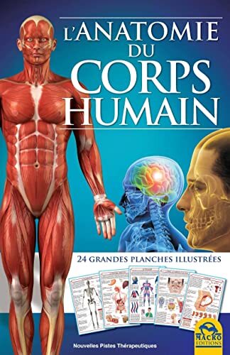 Anatomie corps humain 24 - humain,