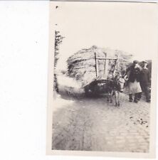 BELGIQUE EVERE PAYSAN CHARETTE DE FOIN 1928