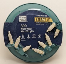 300 Count Warm White Steady