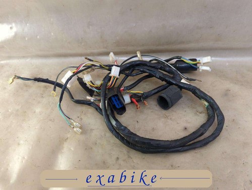 Faisceau electrique pour - electrique,