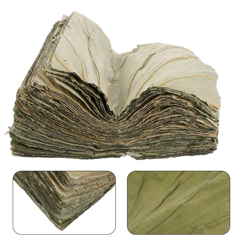 100 pcs assiette - pcs, sushi