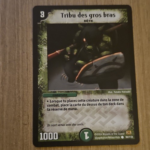 Duel masters tribu des - masters,