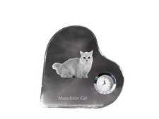 Chat Munchkin horloge en forme