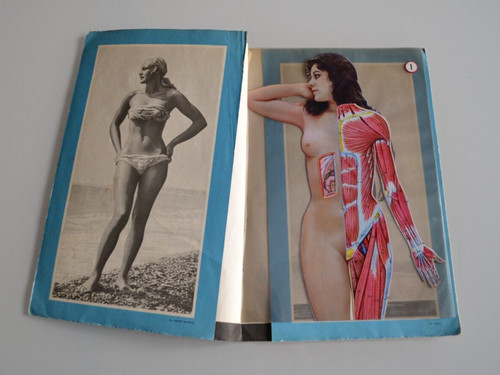 1950 anatomie humaine larousse - anatomie,