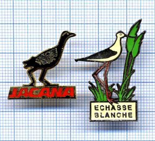Lot pin oiseau bird - lot, pin's