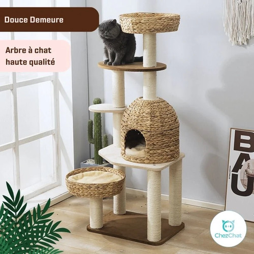Arbre chat robuste - à, cm