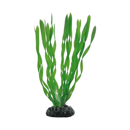 Vallisneria 20cm künstliche - vallisneria, 20cm-künstliche