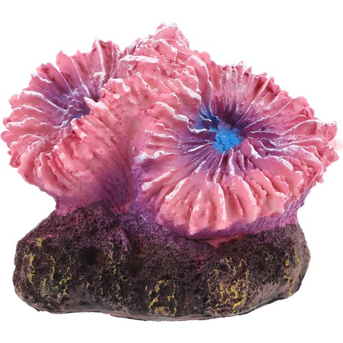 Aquarium corail ornement